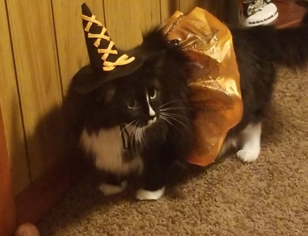 Mittens